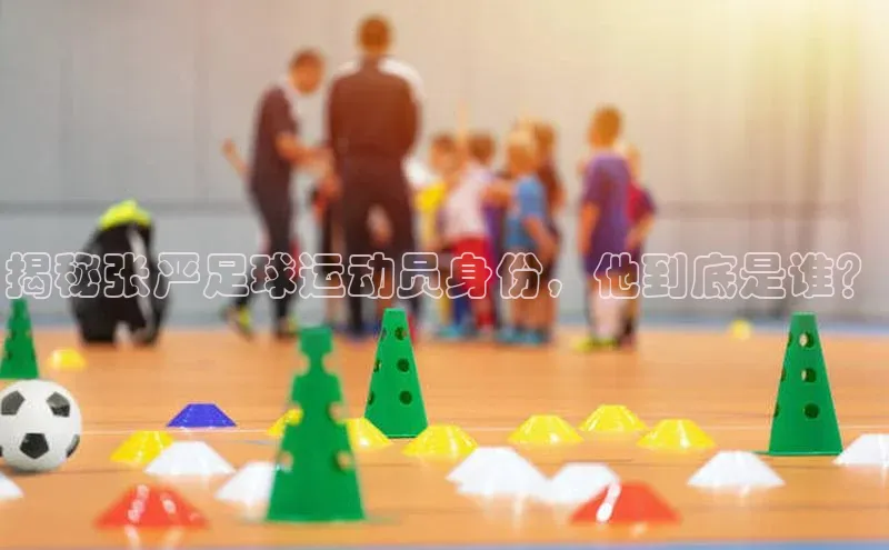 星空app登录入口官网如流揭秘张严足球运动员身份，他到底是谁？