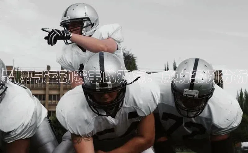 星空体育入口app百度数据开放平台品牌与运动赛事的双赢：成功案例分析