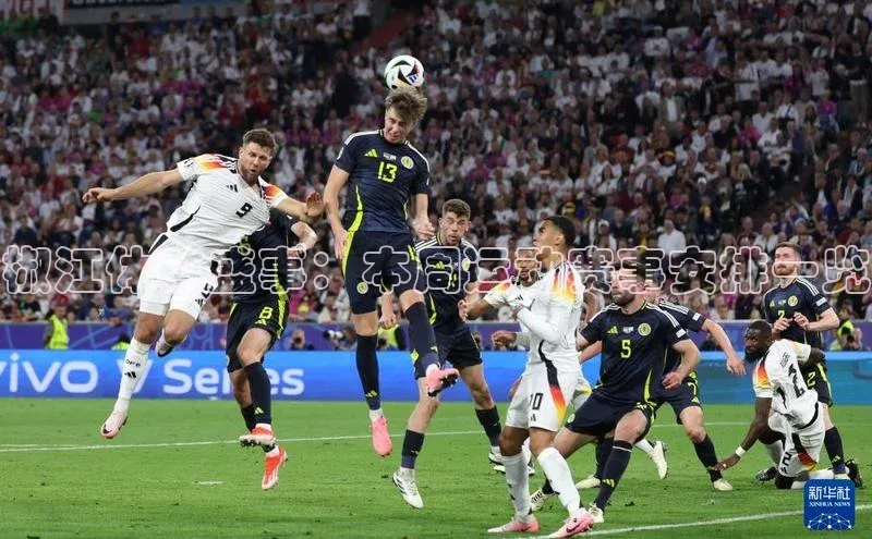 椒江体育盛事：本周运动赛事安排一览