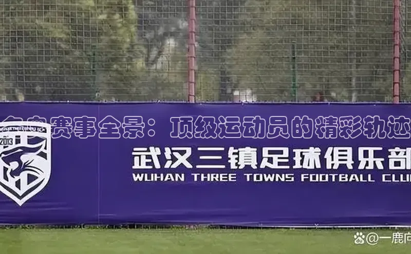 冬奥赛事全景：顶级运动员的精彩轨迹