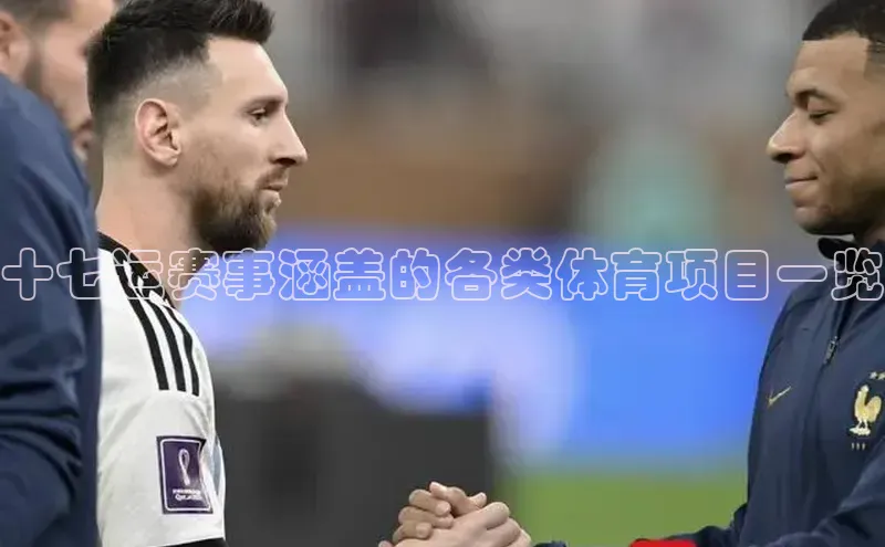 十七运赛事涵盖的各类体育项目一览