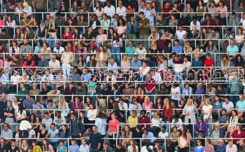 排球盛事：竞技与团队精神的盛宴