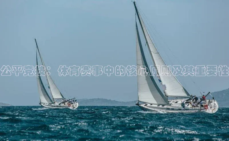 公平竞技：体育赛事中的核心原则及其重要性