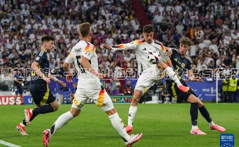 攀越巅峰：一场登山运动赛事的筹备与组织