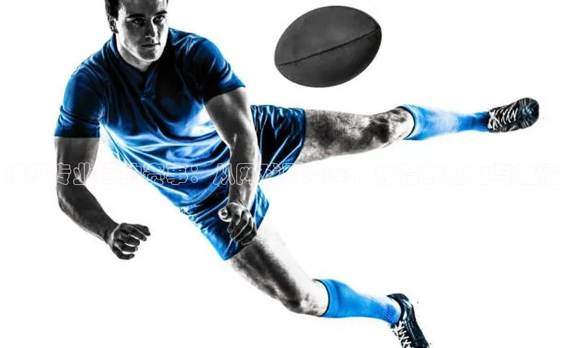 顶级专业运动赛事：从网球到赛车，体育的魅力与激情