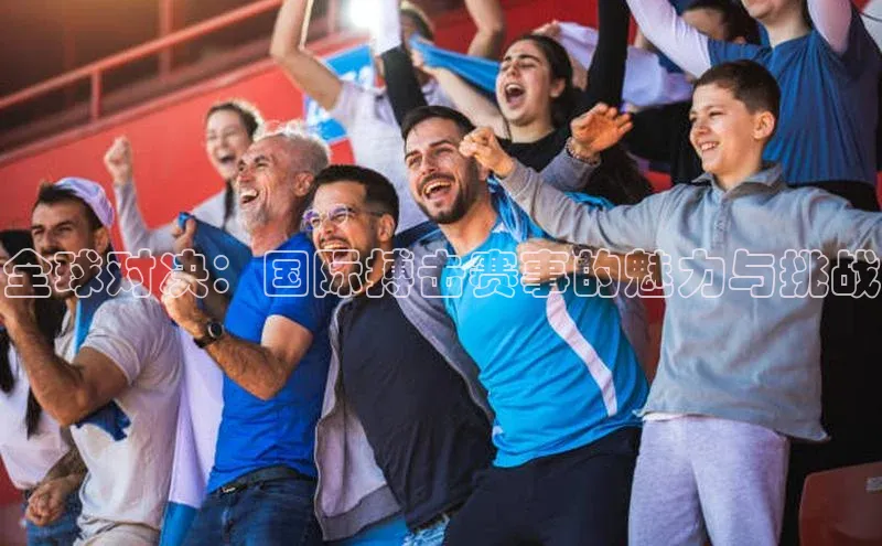 全球对决：国际搏击赛事的魅力与挑战