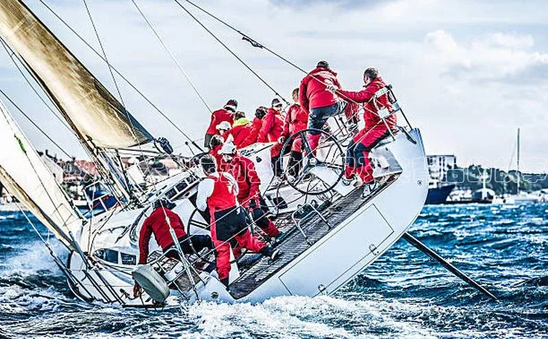 激情燃烧：大型运动会的盛况及其背后的故事