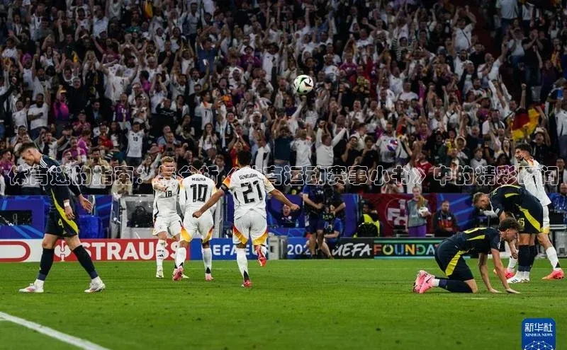 体育迷的指南：与分析《体育运动赛事小书》中的精彩瞬间