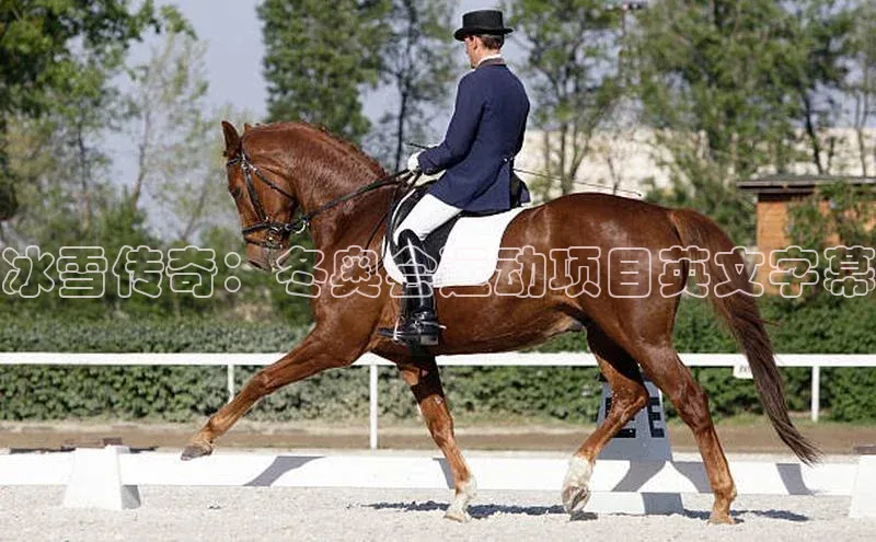 冰雪传奇：冬奥会运动项目英文字幕