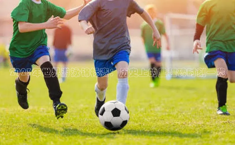 星空体育平台官网入口