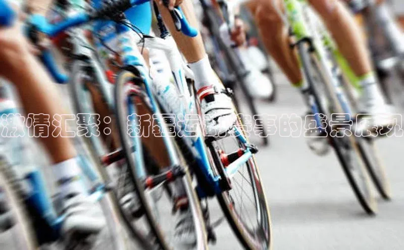 激情汇聚：新疆运动赛事的盛景展现