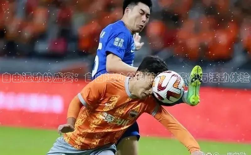 自由运动的盛宴：自由运动公园的精彩赛事与活动体验